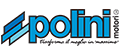 Polini
