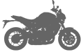 MT 09 2021-2023