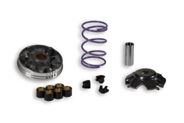 Piaggio Fly 100/Free 100/Zıp 100 Malossi Ön Varyatör Seti