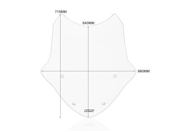 WRS Standard Füme Ön Cam BMW R 1250 Rt 2021-2025