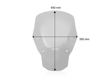 WRS Ön Cam Standard Füme No Radar BMW R 1300 GS 2023-2026