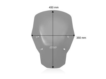 WRS Ön Cam Standard Koyu Füme No Radar BMW R 1300 GS 2023-2026