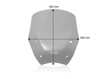 WRS Ön Cam Standard Füme With Radar BMW R 1300 GS 2023-2026