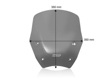 WRS Ön Cam Standard Koyu Füme With Radar BMW R 1300 GS Adventure 2024-2026