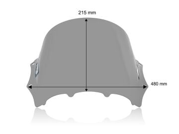 WRS Füme Yarış Tipi Ön Cam BMW M 1000 RR 2023-2024