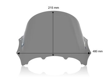 WRS Koyu Füme Yarış Tipi Ön Cam BMW M 1000 RR 2023-2024