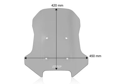 CFMoto 450 MT 2024-2026 WRS Caponord Füme Ön Cam