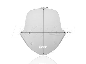WRS Standard Ön Cam Füme BMW R 1250 R 2019-2024