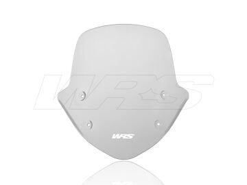 WRS Standard Ön Cam Füme BMW R 1250 R 2019-2024