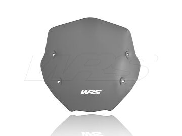 WRS Sport Ön Cam Koyu Füme BMW R 1250 R 2019-2024